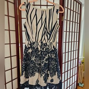 White and Navy Blue Floral Dress